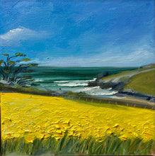 "Golden Porthcothan Springtime" - Original Oil Painting